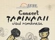 concert tapinarii in stuf vama veche