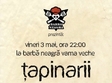 concert tapinarii la vama veche
