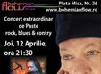 concert terry lee burns in sibiu