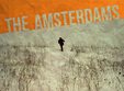 concert the amsterdams la timisoara
