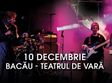 concert the dire straits experience la bacau