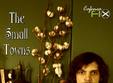 concert the small towns la teatrul fix iasi
