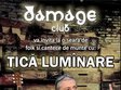 concert tica luminare in damage