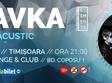 concert travka electro acustic