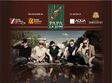 concert travka in vama veche