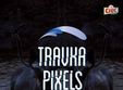 concert travka si pixels in club colectiv din bucuresti