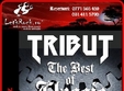 concert tribut band in in the yellow club