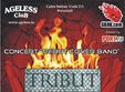 concert tribut cover band in club ageless