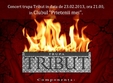 concert tribut in club prietenii mei