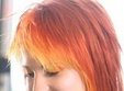 concert tribut paramore in elephant pub bucuresti