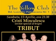 concert tribut si cristi minculescu in yellow club