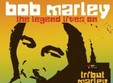 concert tribute bob marley la cluj