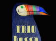 concert trio bossa nova la ceainaria teatrului act din bucuresti