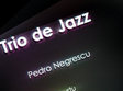 concert trio de jazz timisoara