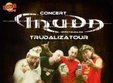 concert truda in deva