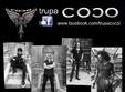 concert trupa coco