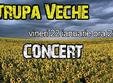 concert trupa veche arad