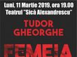 concert tudor gheorghe femeia la brasov