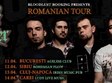 concert violent chapter in carei
