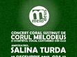 concert extraordinar salina turda