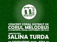 concert vocal salina turda