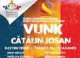 concert vunk catalin josan electric fence in route 66