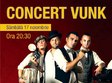 concert vunk in baia mare