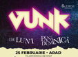 concert vunk la arad