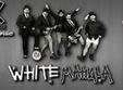 concert white mahala