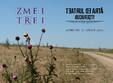 concert zmei trei la teatrul de arta