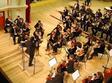concerte la filarmonica de stat oradea