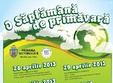 concerte proconsul akcent si mihai margineanu in parcul crangasi