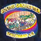 concertul sustinut de sound orchester burgthann nurnberg