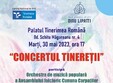  concertul tinere ii 