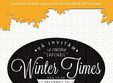 concertul winter times la timisoara