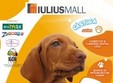 concurs de frumusete pentru catei pet show timisoara