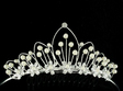 concurs de miss pentru sustinatoarele campionatului mondial oradea