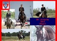 concurs national de dresaj cupa steaua bucuresti 
