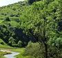 concurs national invata ma sa ocrotesc natura 