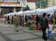 concursuri de ziua recoltei