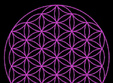 conferinta despre floarea vietii geometrie sacra si merkaba la serendipity coffe tea