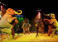 copiii circului festival european de circ