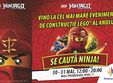 copiii se transforma in adevarati ninja cu lego ninjago