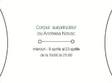 corpul surprinzator atelier de dans contemporan 