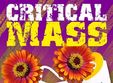 critical mass la oradea