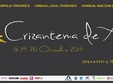 crizantema de aur 2013