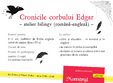 cronicile corbului edgar atelier copii intrare libera booklet 