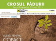 crosul padurii 2011 in parcul tineretului