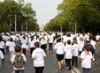 crosul petrom incepe din piata constitutiei
