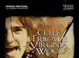  cui i e frica de virginia woolf la teatrul nottara